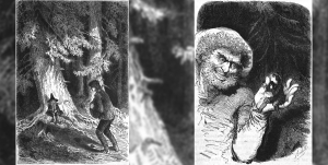 G Schichtle 79 Der Schwarzwald Und Das Das Kalte Herz