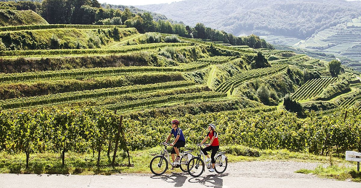 Kaiserstuhl-Radweg: Die Tour für Genießer