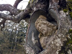 der Balzer Herrgott - Gütenbach