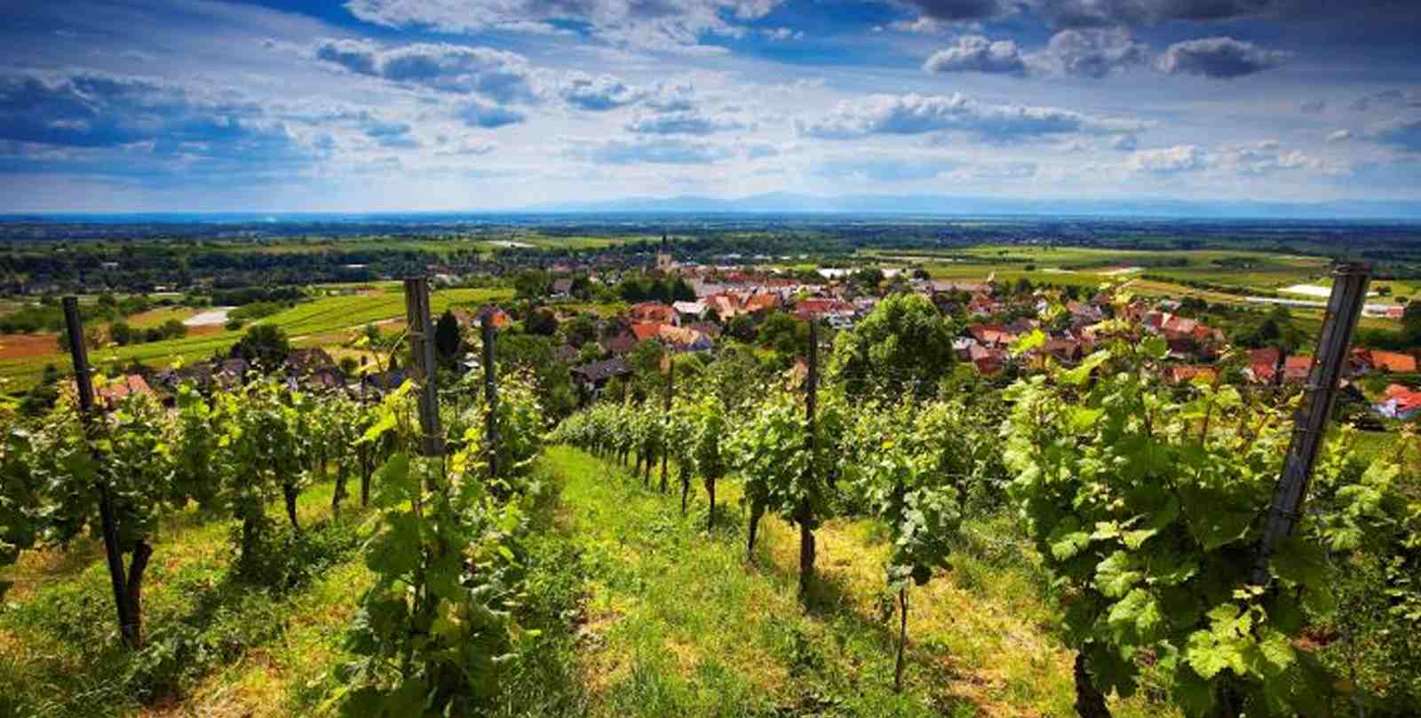 BallrechtenDottingen