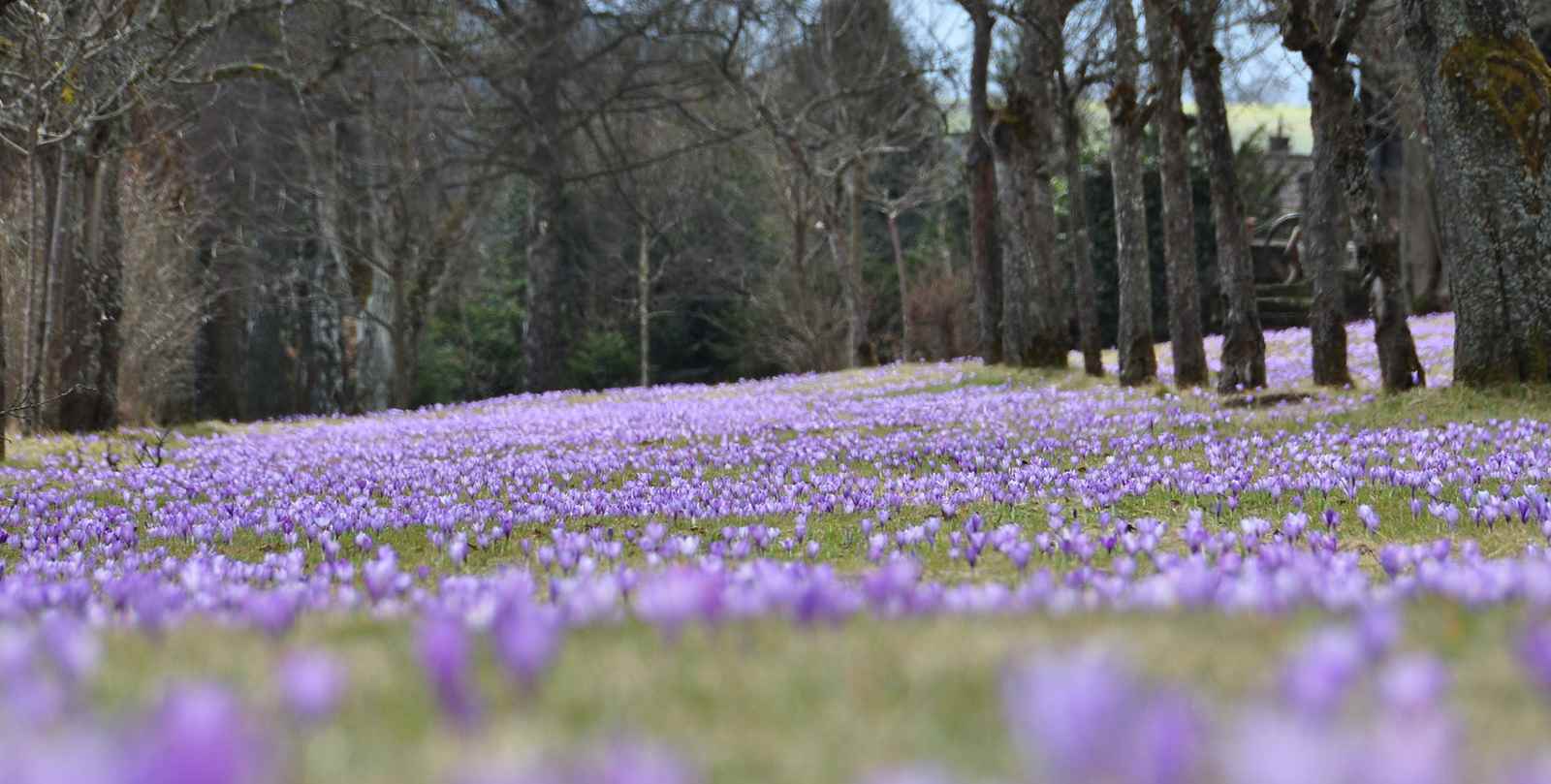Bad TeinachZavelstein