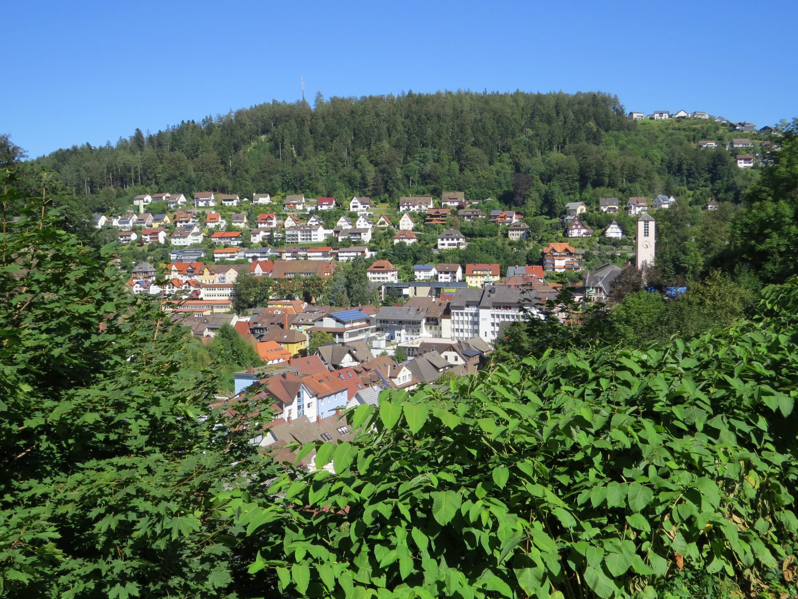 TRIBERG
