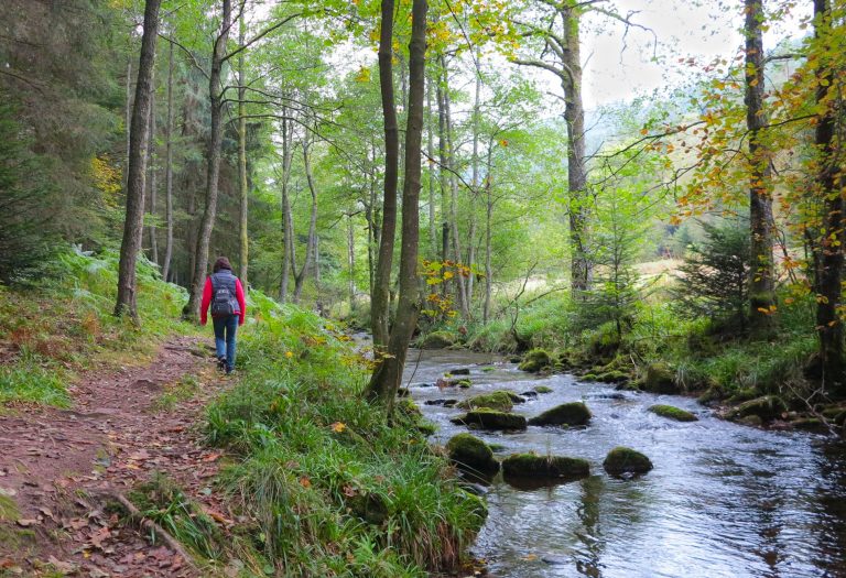 Schwarzwald Wanderung Ins Tal Der Lehm nner Zertifiziert schwarzwald-wanderung-ins-tal-der-lehm-nner-zertifiziert