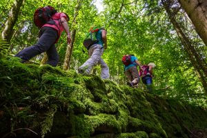 Himmelssteig Im Schwarzwald Deutschlands Bestbewerteten Wanderweg Erleben himmelssteig-im-schwarzwald-deutschlands-bestbewerteten-wanderweg-erleben